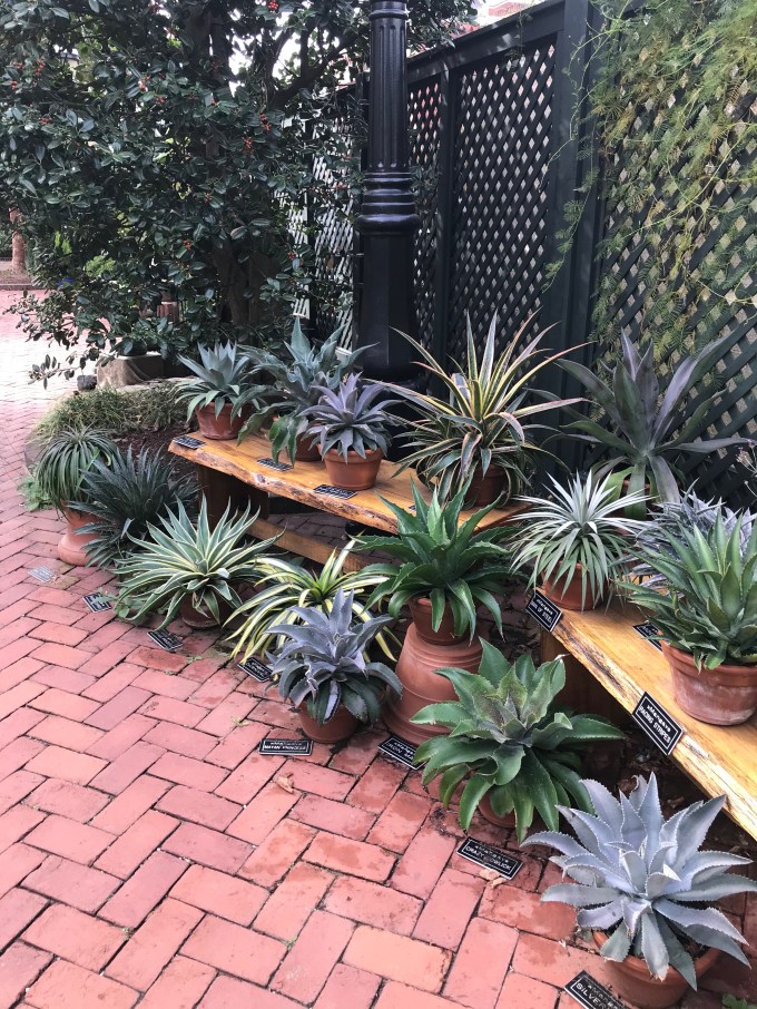 sQ5t7fiTSe+7iOosURMKyw