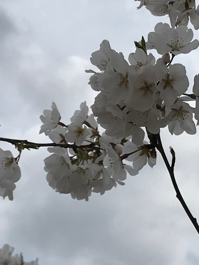 42bSFORGSQ6i9JM8nUuSBg