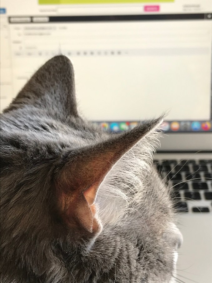 xbVJV5KlTEiZjqhr2cMEBA