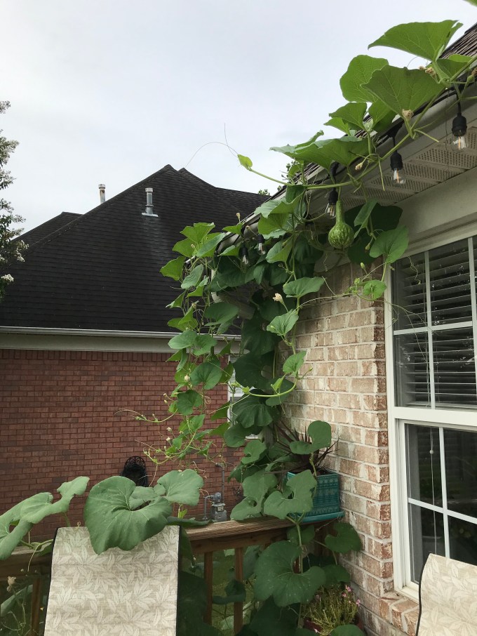 Qg6ydqtNRs6%svNopHphPQ