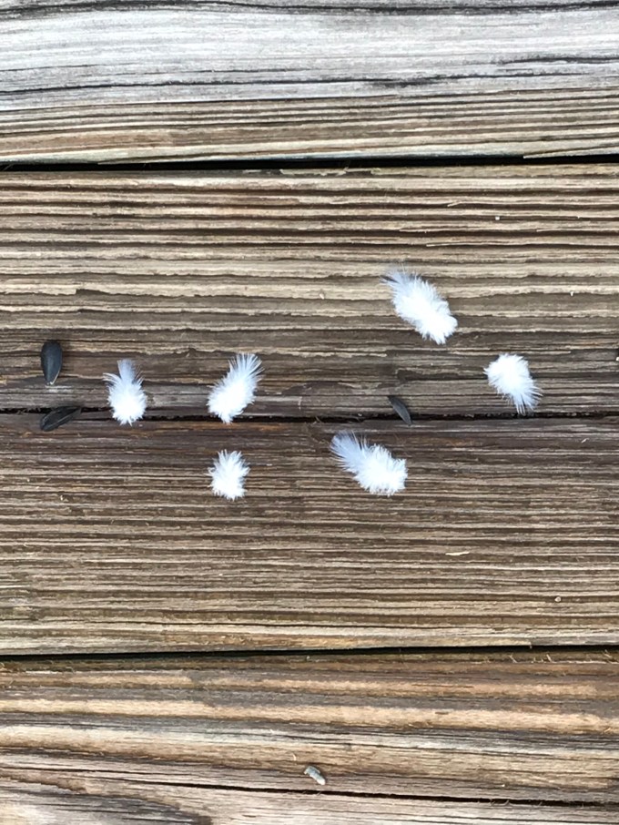 4xUWXbYUSvqL2UK2A9RBbw